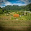 Hydrangea Ranch Prices Big Barn Main Wedding Venue 2023 & 2024
