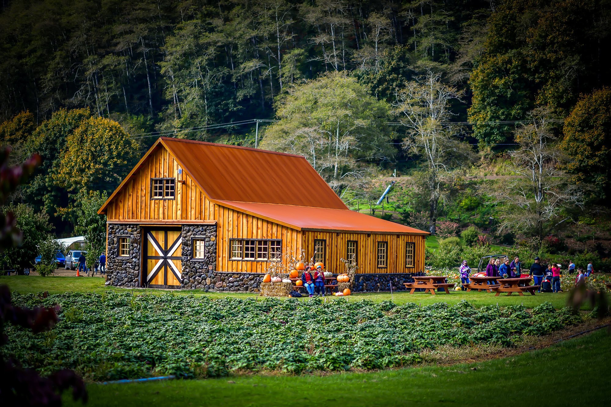 barns at the hydrangea ranch