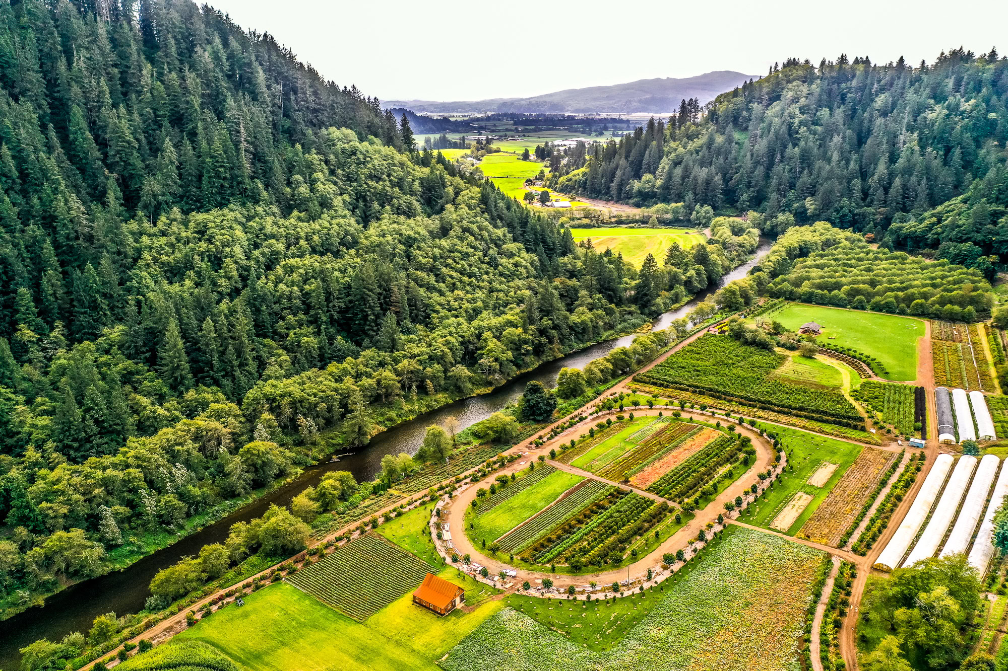 oregon coastal flowers farm | Hydrangea Ranch oregon coastal flowers farm