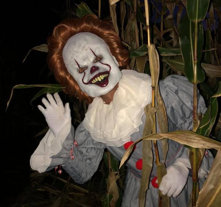 10.28.19 Haunted Corn Maze Kilchis River Oregon Coast Pumpkin Patch