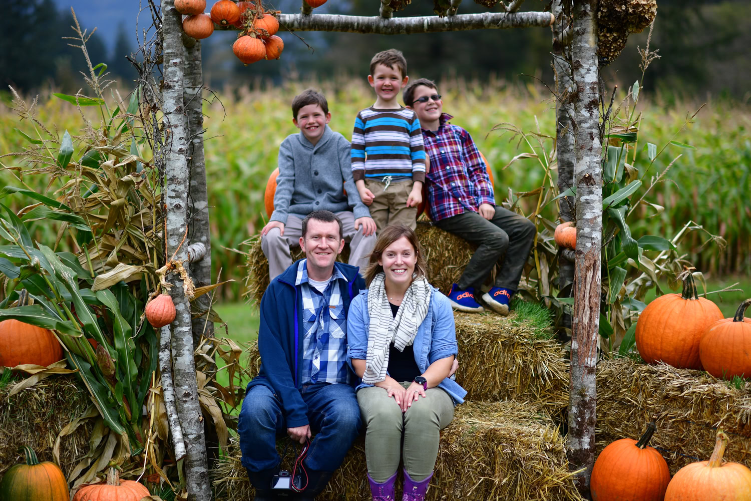 pumpkin patches in tillamook | Hydrangea Ranch pumpkin patches in tillamook