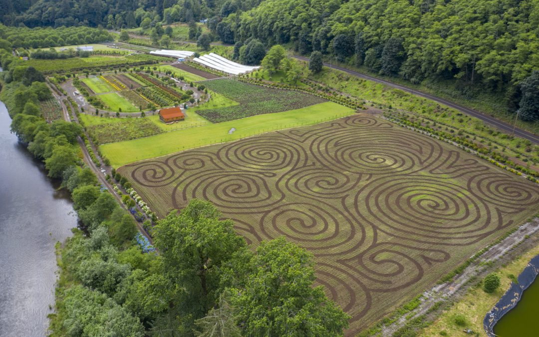 2020 Kilchis River Pumpkin Patch & Corn Maze