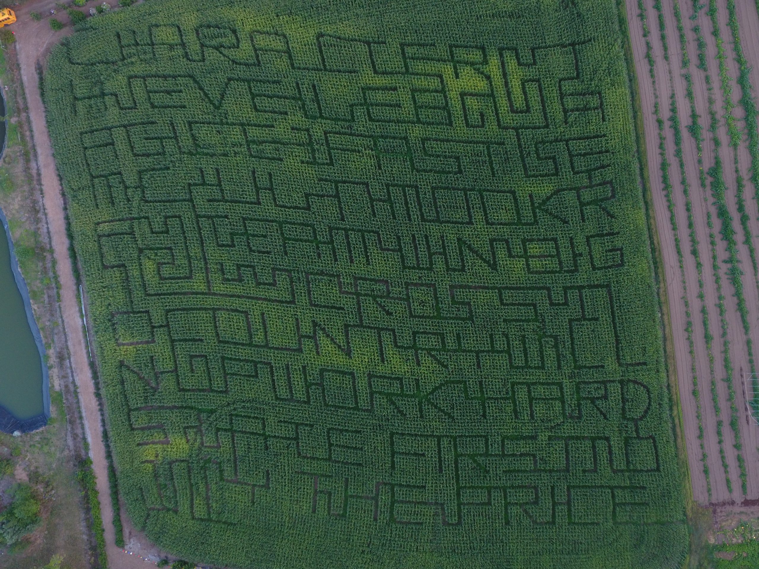 corn mazes in oregon