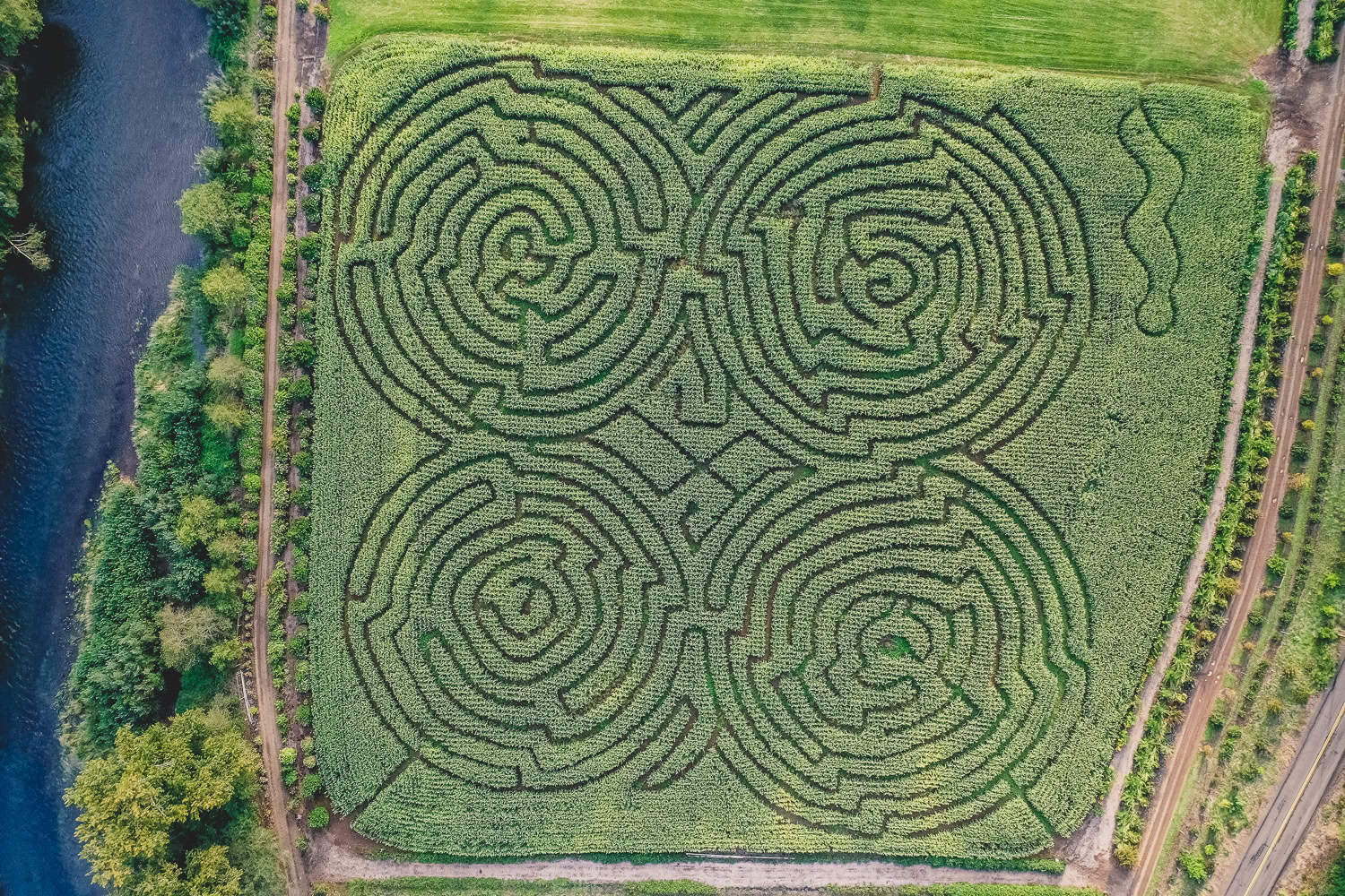 corn mazes in oregon