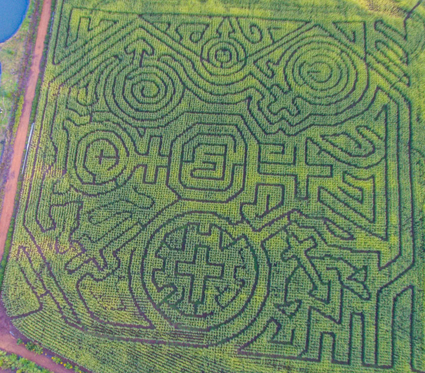 corn maze in tillamook