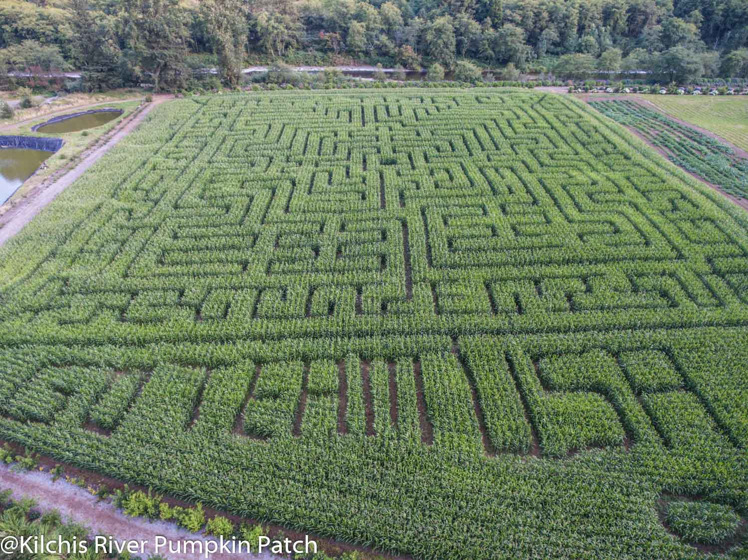 corn mazes in oregon