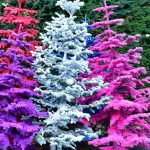 flocked christmas trees | Hydrangea Ranch flocked christmas trees