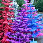 flocked christmas trees | Hydrangea Ranch flocked christmas trees