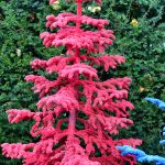 flocked christmas trees | Hydrangea Ranch flocked christmas trees