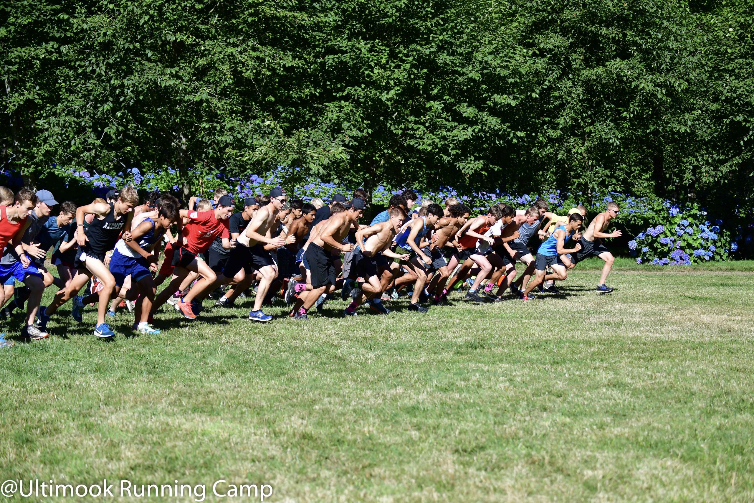 high school running camp-83 | Hydrangea Ranch high school running camps in oregon