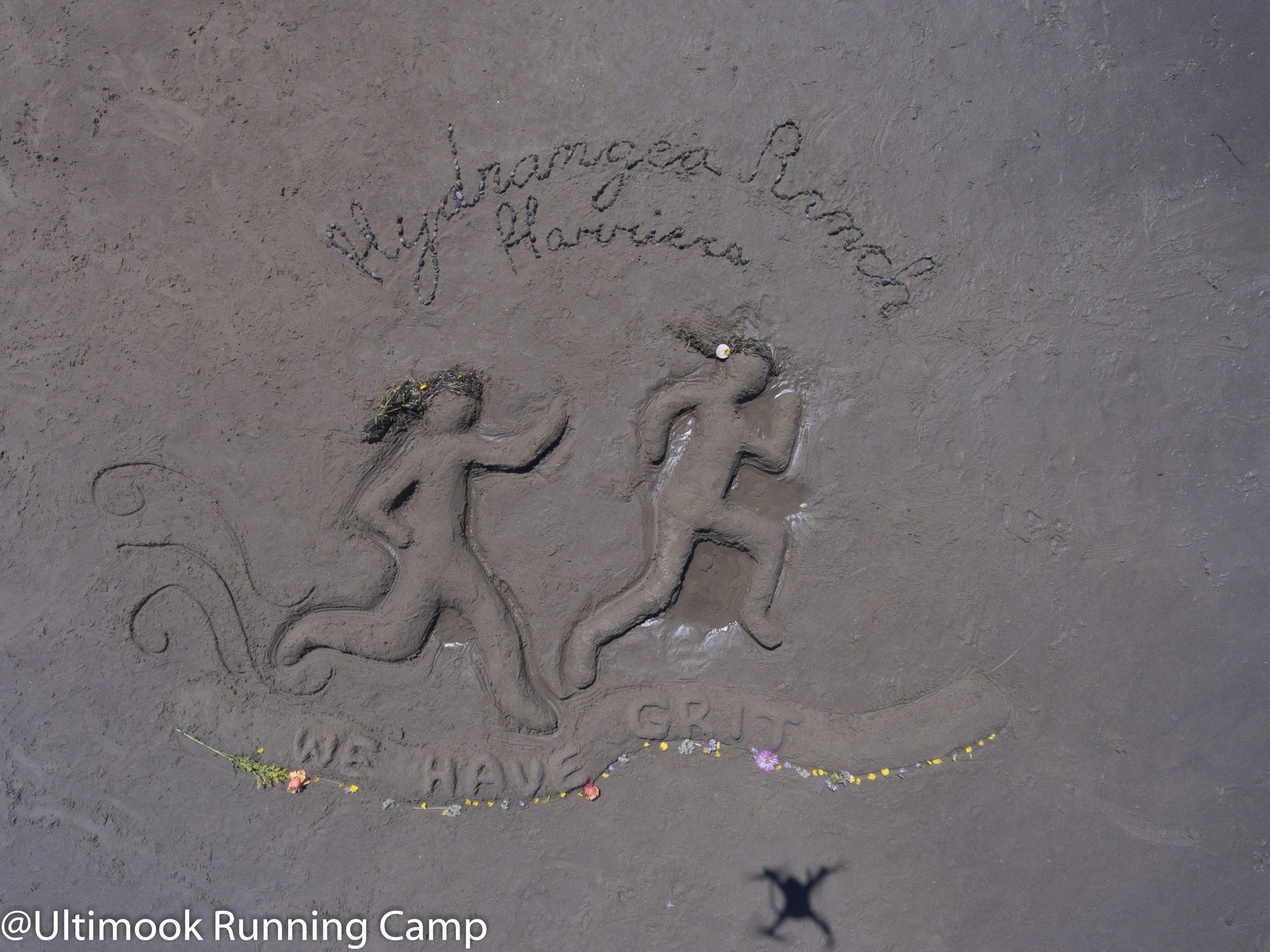 high school running camp-19 | Hydrangea Ranch high school running camp