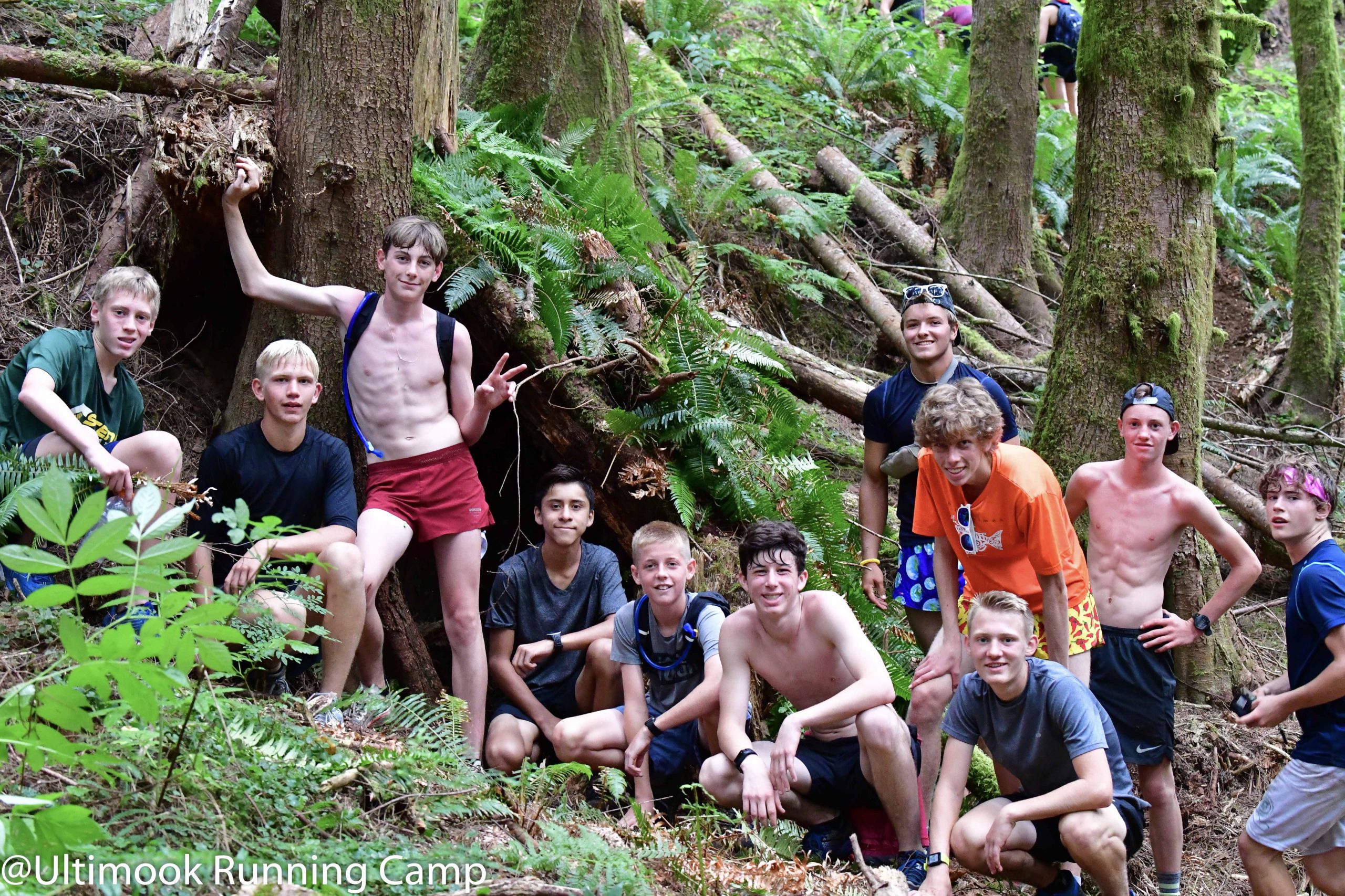 hydranageas-17 | Hydrangea Ranch ultimook running camp