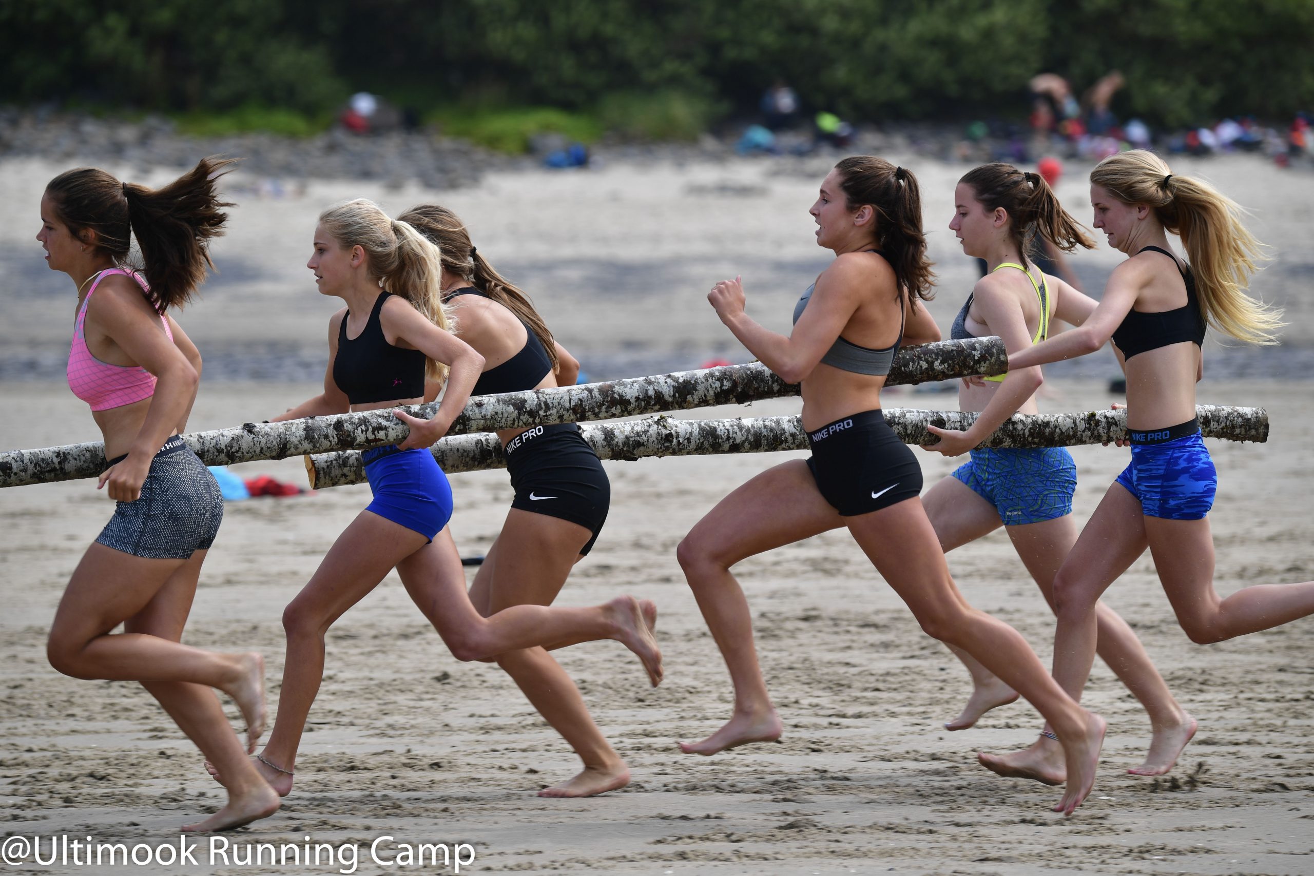 hydranageas-79 | Hydrangea Ranch high school running camps in oregon