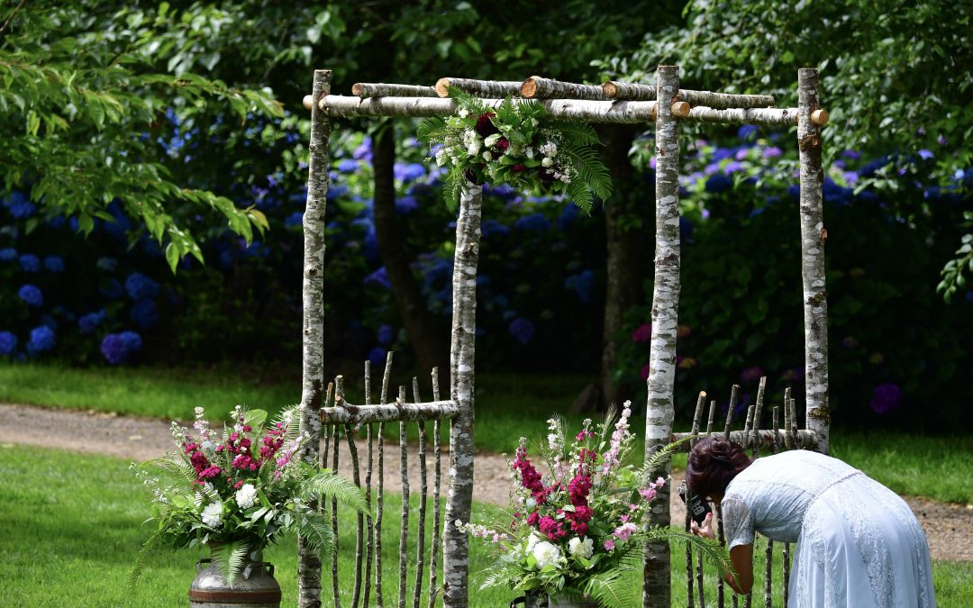 hydrangea ranch arches