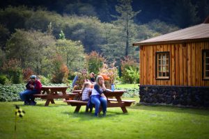 kilchis river pumpkin patch
