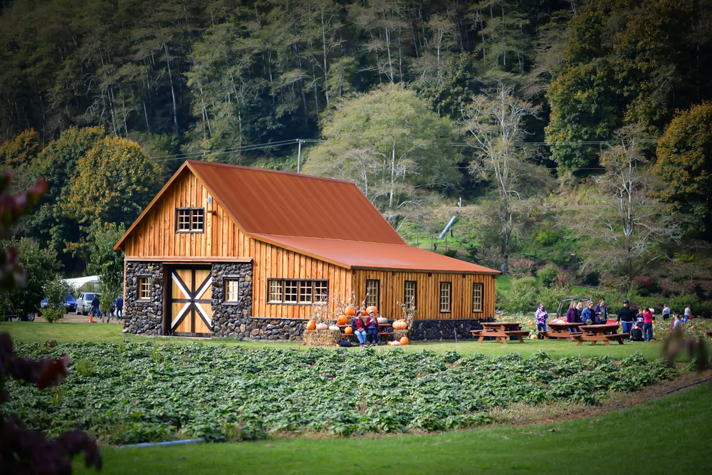 kilchis river barns