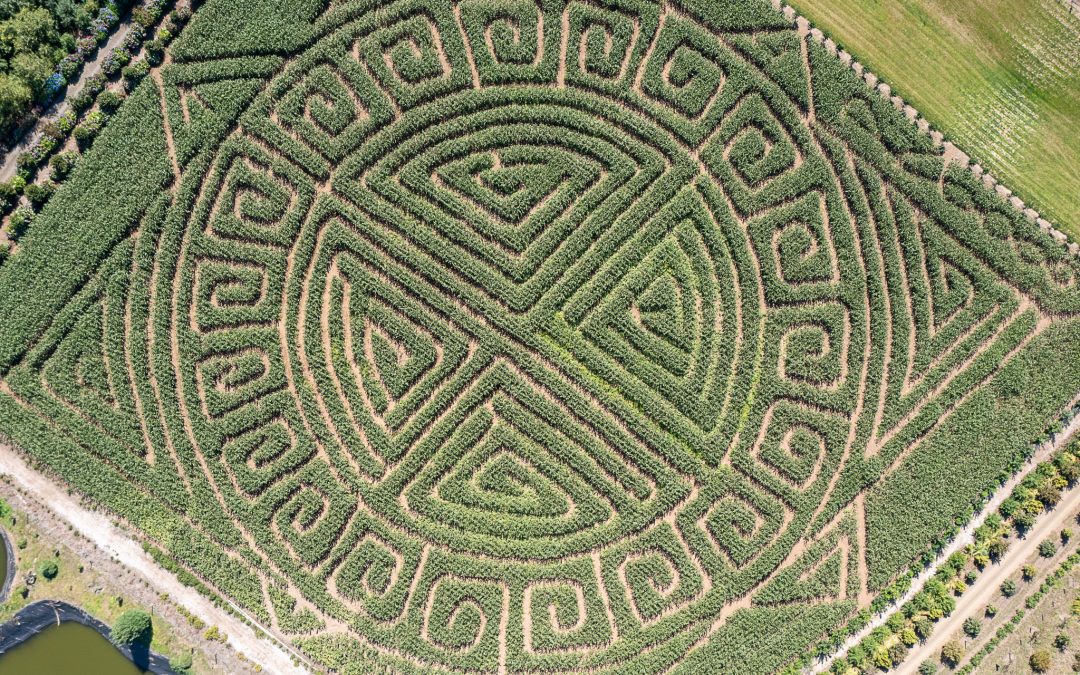 2021 Kilchis River Pumpkin Patch & Corn Maze opening soon.
