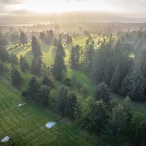alderbrook-92 | Hydrangea Ranch