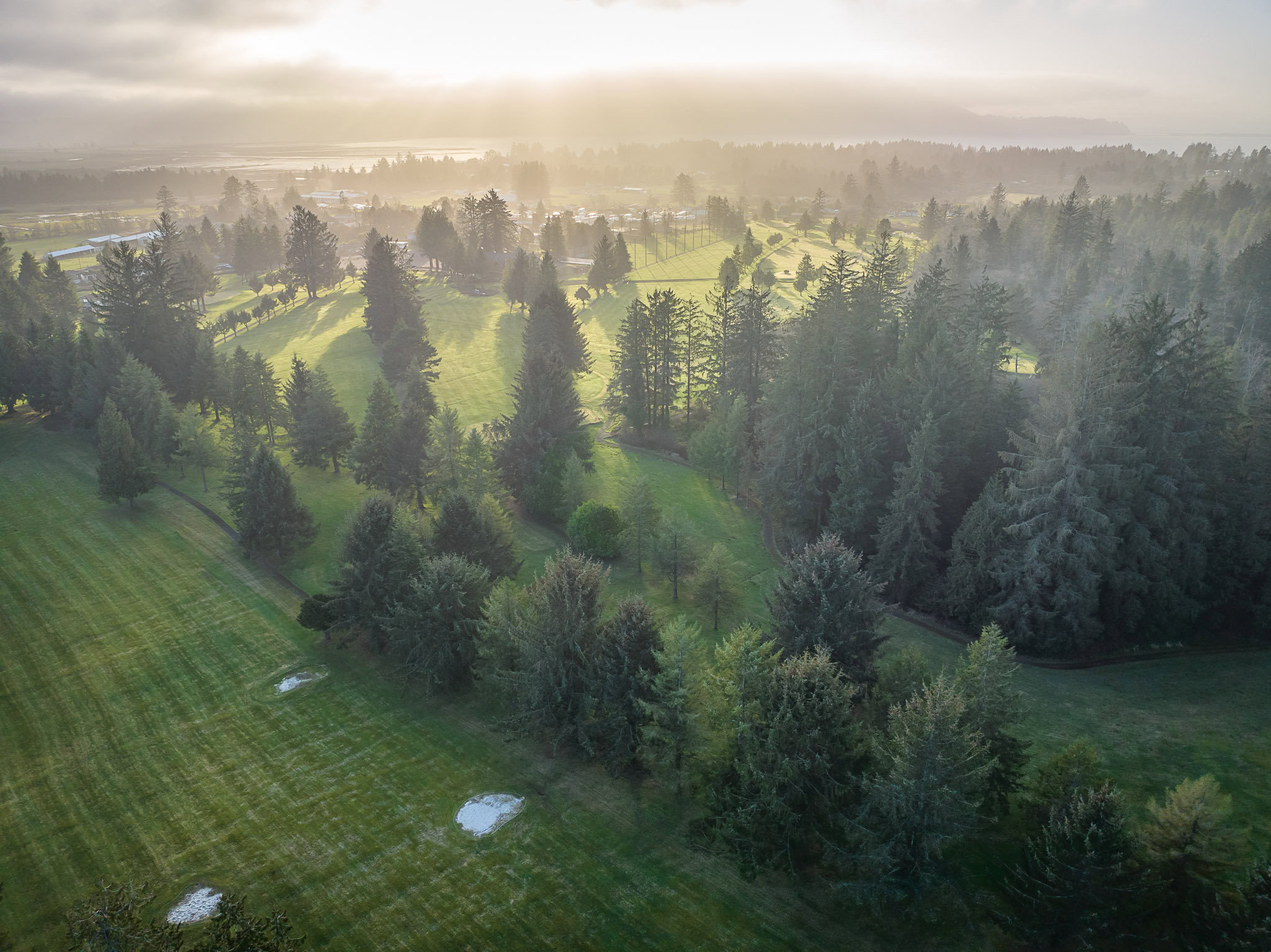 alderbrook-92 | Hydrangea Ranch