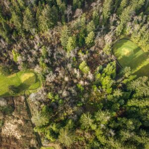 Alderbrook-Golf-Course-30 | Hydrangea Ranch