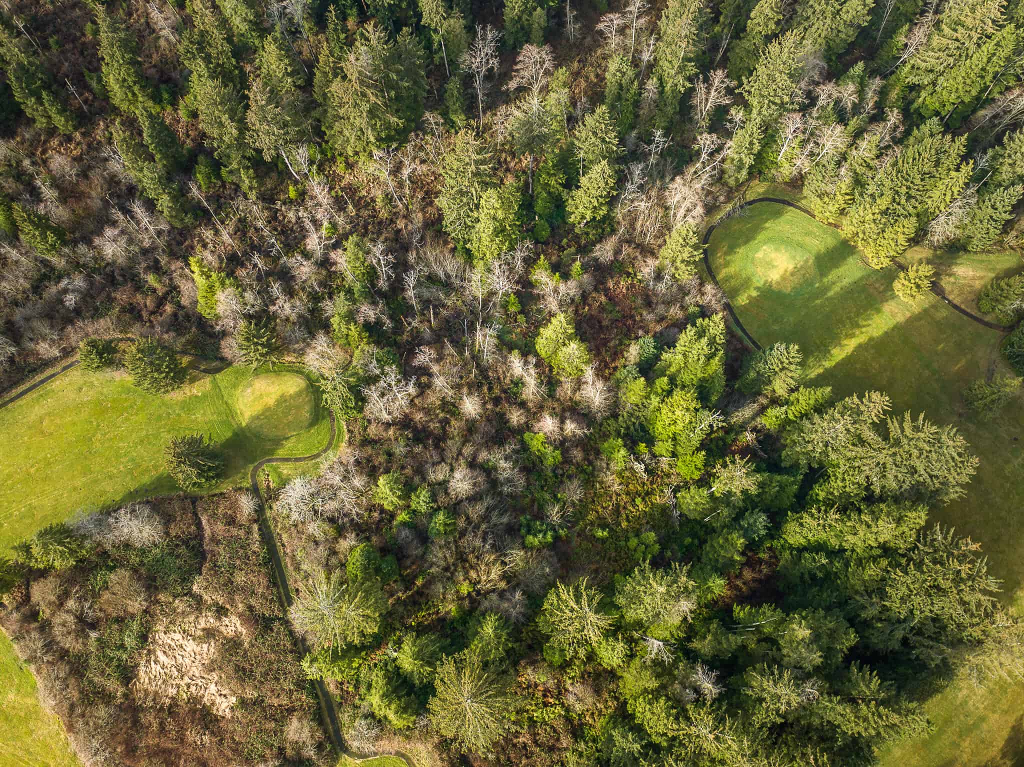 Alderbrook-Golf-Course-30 | Hydrangea Ranch