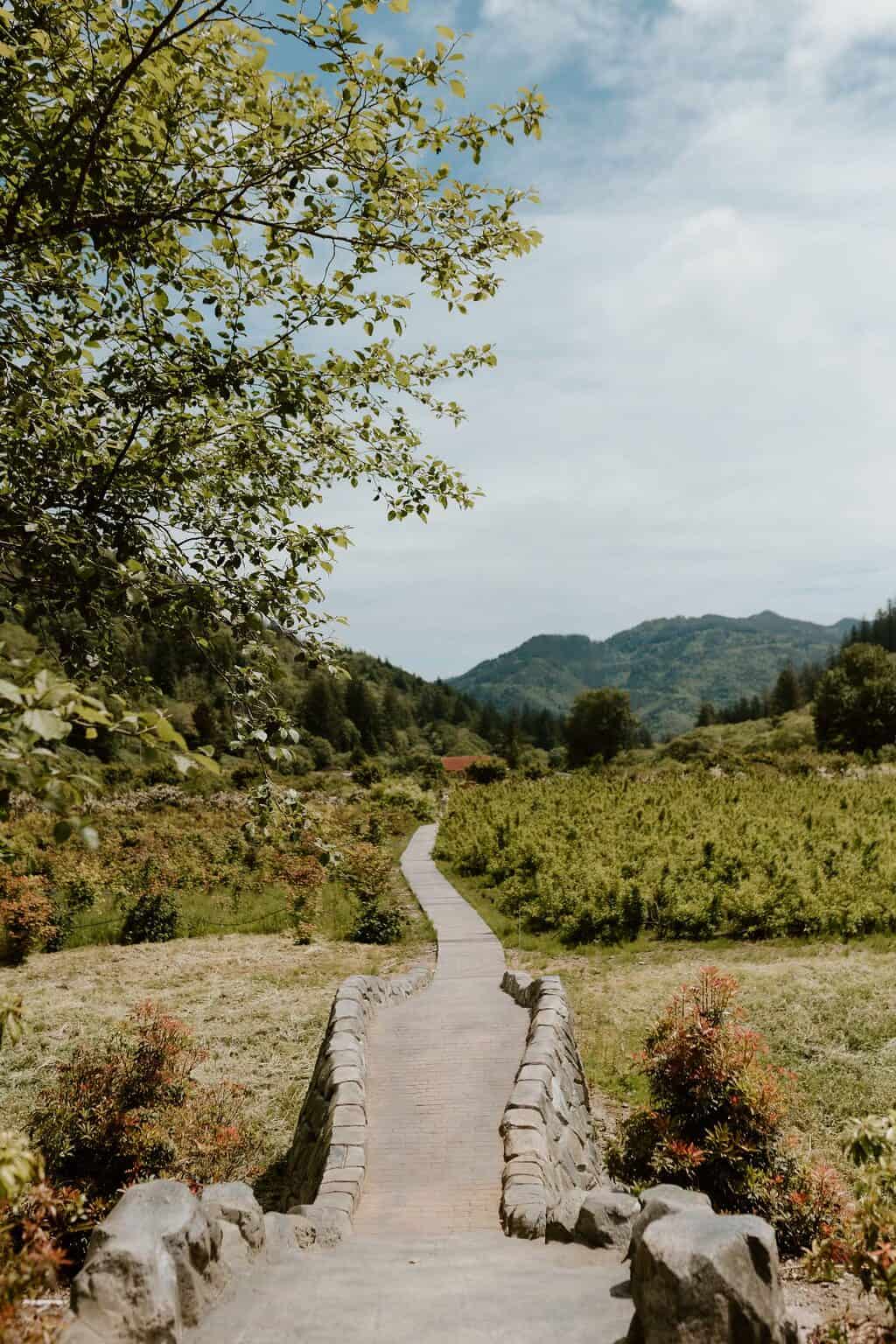 IMG_1642 | Hydrangea Ranch Outdoor Wedding Venue in Oregon